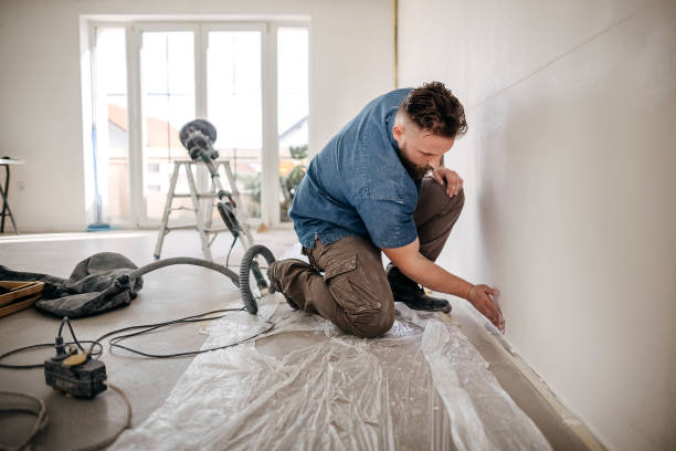 Best Drywall Crack Repair  in Temple Terrace, FL