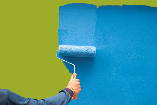 Best Residential Painting  in Temple Terrace, FL